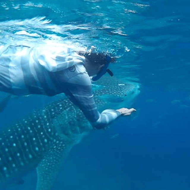 Cebu: Oslob Whaleshark Experience Shared Tour - Sumilon Island brings in the boat ride
