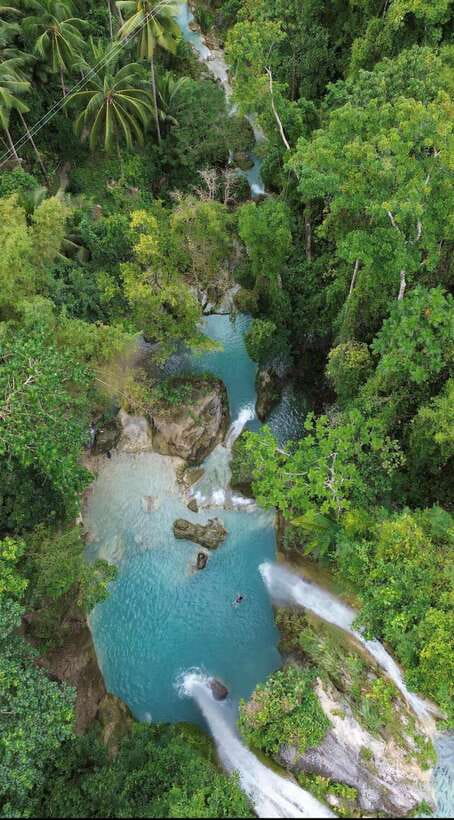 Cebu Oslob Whaleshark, Moalboal Sardines Run&Inambakan Falls - Key things to know before booking