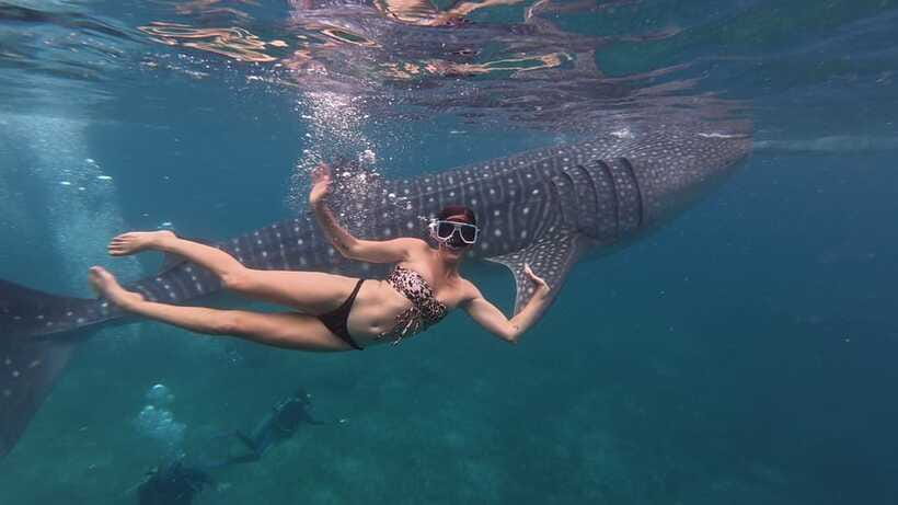 Cebu Oslob Whaleshark, Moalboal Sardines Run&Inambakan Falls - Should you book the Cebu triple attraction tour?