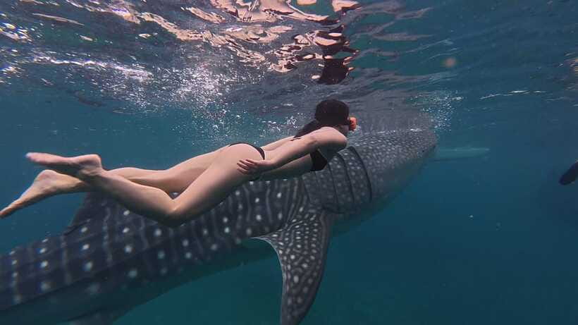 Cebu Oslob Whaleshark, Moalboal Sardines Run&Inambakan Falls - Inambakan Falls brings freshwater and breathing room