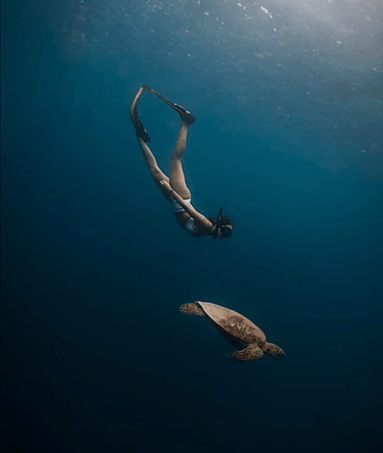 Cebu Oslob Whaleshark, Moalboal Sardines Run&Inambakan Falls - Snorkeling with Moalboal’s sardine run
