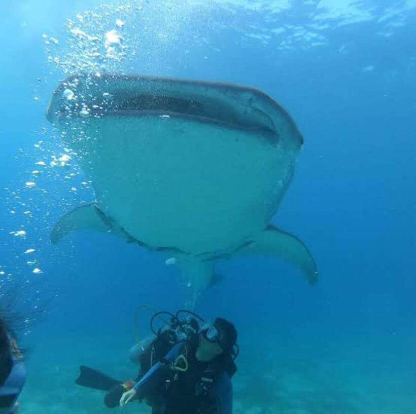 Cebu: Oslob Whaleshark Scuba Diving & Sumilon Sanctuary - Coffee and breakfast after the first session