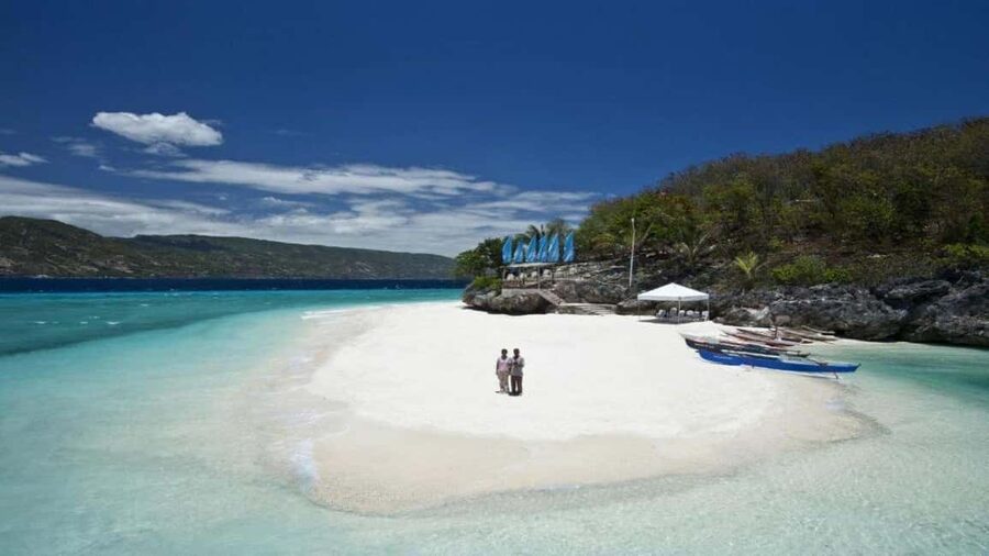 Cebu Oslob Whaleshark, Tumalog Falls&Sumilon Island(Private) - Why this Cebu day trip works