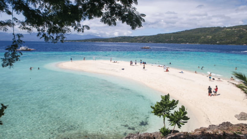 Cebu Oslob Whaleshark, Tumalog Falls&Sumilon Island(Private) - Timing, pickup, and the private group format