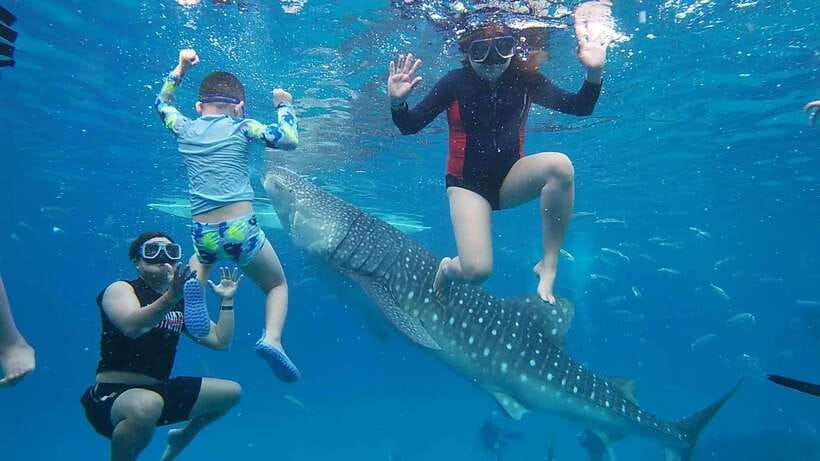 Cebu: Oslob Whaleshark Watching Day Tour - Arriving at the Oslob whale shark area