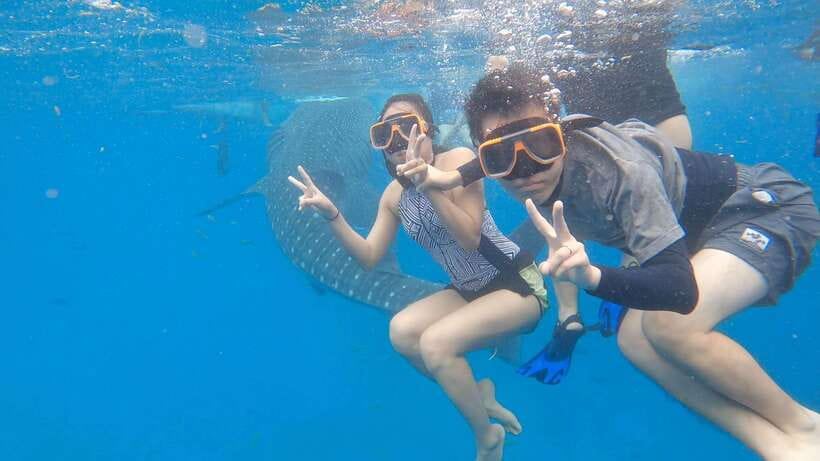 Cebu: Oslob Whaleshark Watching Day Tour - What the private tour really gives you