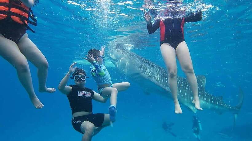 Cebu: Oslob Whaleshark Watching Day Tour - Packing for a wet and early morning