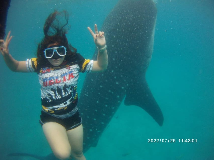 Cebu: Oslob Whaleshark Watching Day Tour - Who will enjoy this Oslob day trip