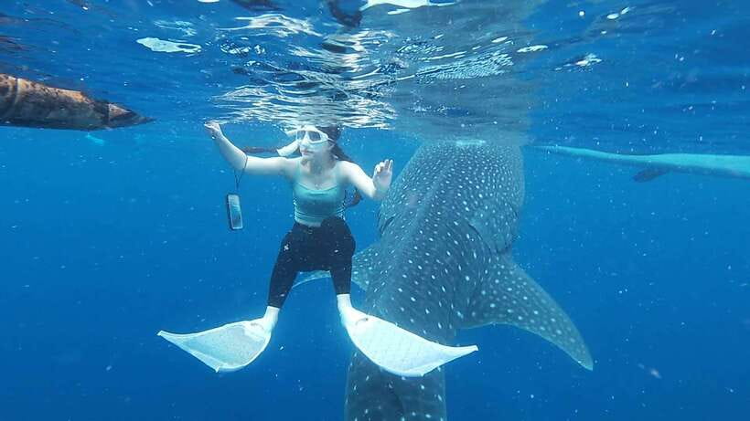 Cebu: Oslob Whaleshark Watching Day Tour - The early road trip from your hotel