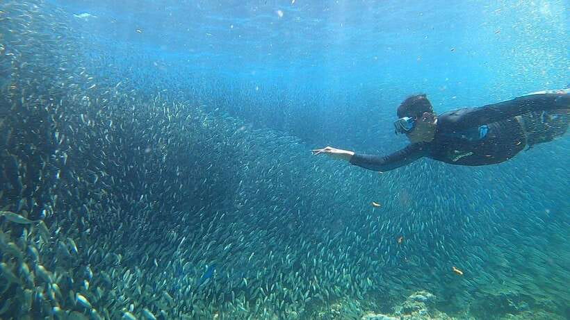 Cebu: Osmeña Peak hike and Sardines Run Snorkel adventure - Is $92 a fair price?