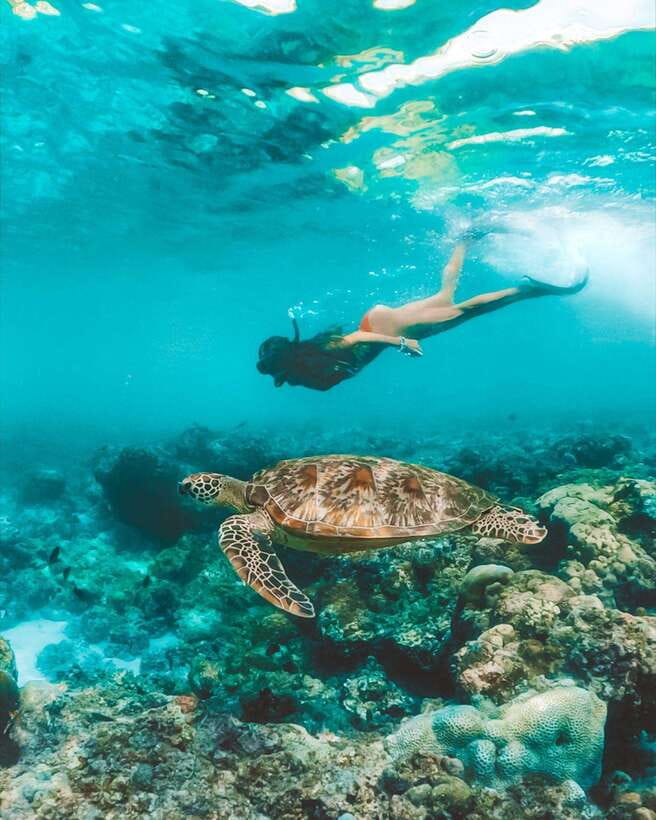Cebu: Osmeña Peak hike and Sardines Run Snorkel adventure - The early journey to Osmeña Peak