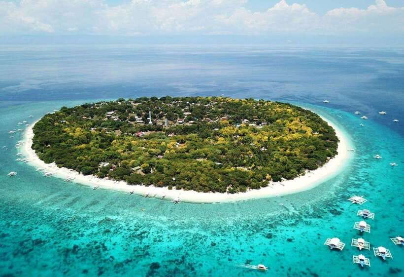 Cebu: Pamilacan, Virgin Island, Dolphin Watching with Lunch - Key Points Before You Book