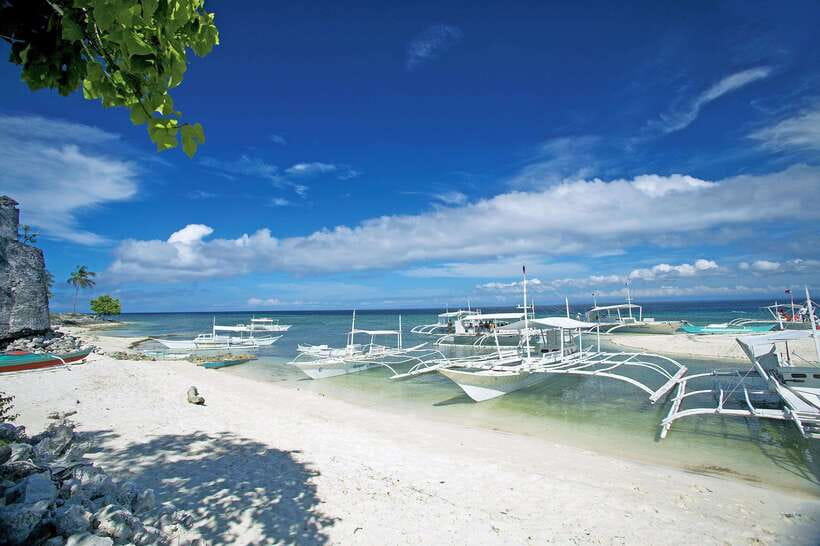 Cebu: Pamilacan, Virgin Island, Dolphin Watching with Lunch - Is the $207 Price Fair?