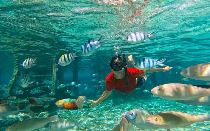 Cebu: Private Mactan Island Hopping Tour with Lunch - Nalusuan’s sandbar and clear water