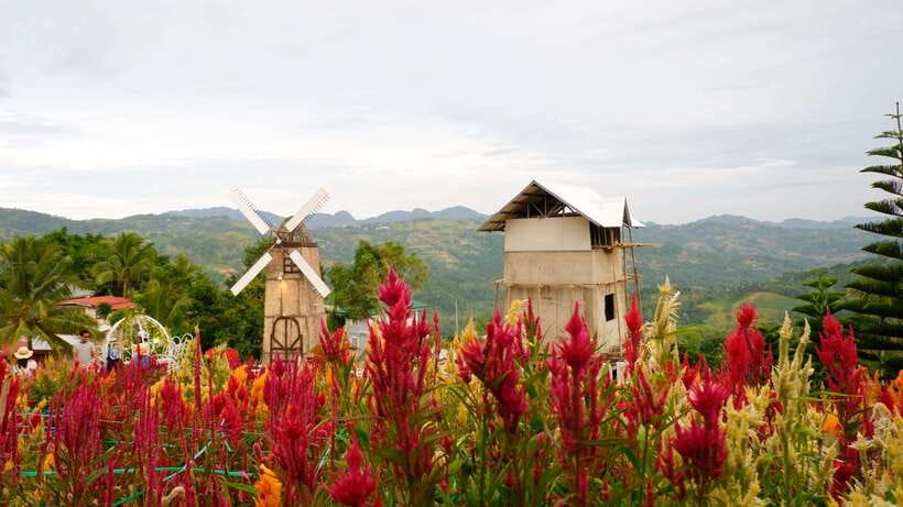 Cebu: Private Panoramic Tour with Dinner - Why this five-hour Cebu tour works well
