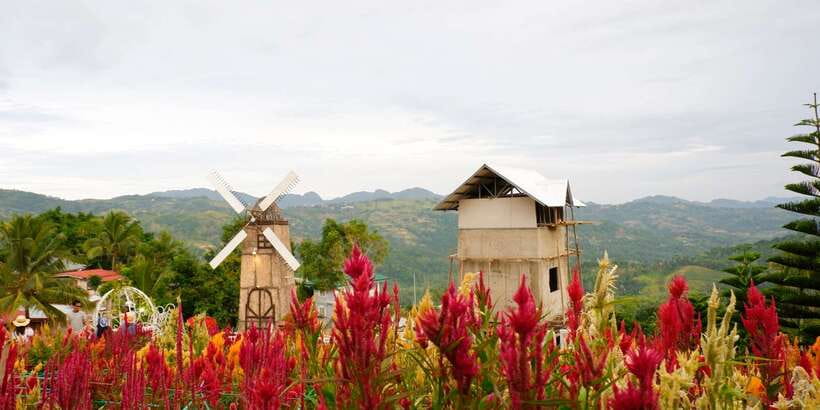 Cebu: Private Panoramic Tour with Dinner - What the $100 price really covers