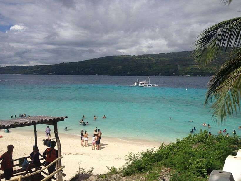 Cebu: Private Sumilon Island & Optional Whale Shark Swim - Key Points Before You Book