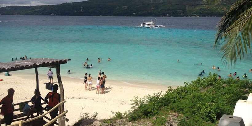 Cebu: Private Sumilon Island & Optional Whale Shark Swim - Who Will Enjoy This Cebu Day Trip Most?