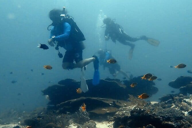 Cebu Private Tour 3 Islands Hopping Gilutungan Caohagan Nalusuan - Who will enjoy this tour most
