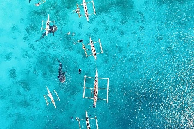 Cebu: Private Tour- Osmena Peak+Oslob Whaleshark+Tumalog Falls - Oslob ruins and roadside stops add local texture