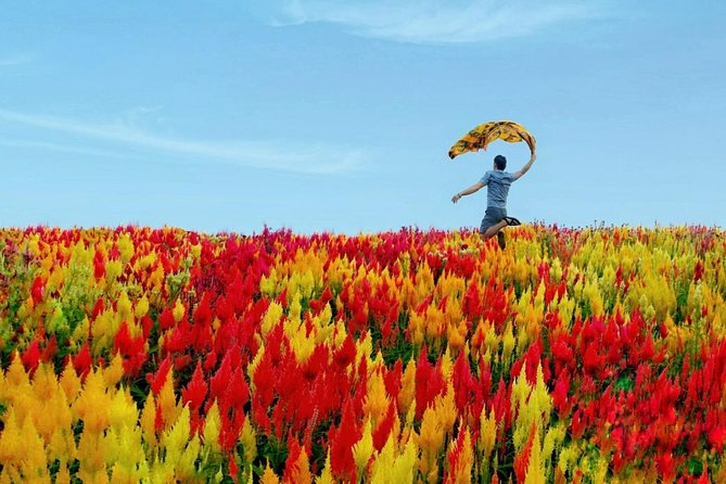Cebu: Private Twin City Tour +Temple of Leah + Sirao Flower Farm - Starting above Cebu at Temple of Leah