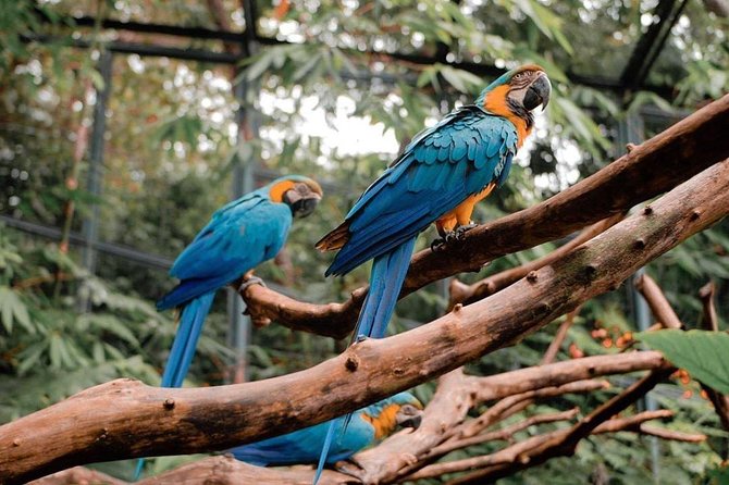 Cebu Safari Adventure - The Early Start and Ride to the Park