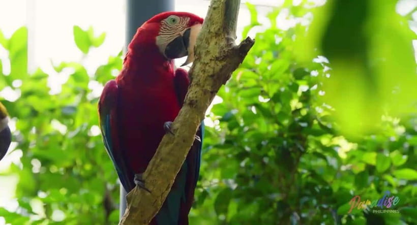 Cebu Safari & Adventure Park: Wildlife Tour with Transfers - The two-hour road trip from Cebu to Carmen