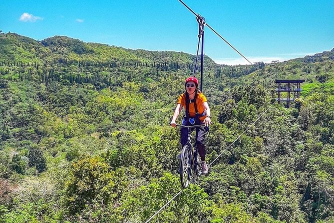 Cebu Safari Adventure - White Lions, Giraffes, and Alligators