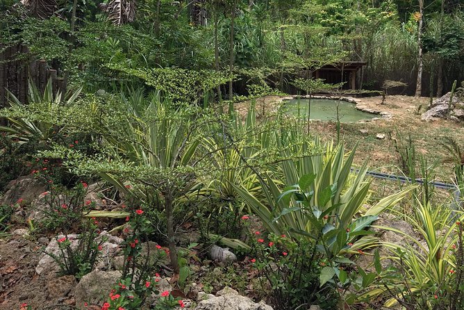 Cebu Safari and Adventure Park - A Park That Rewards Time
