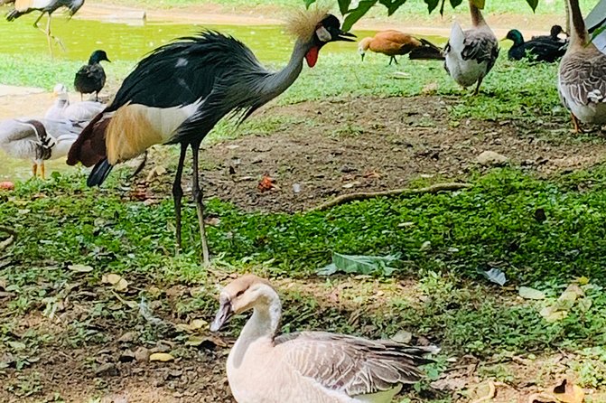 Cebu Safari Journeys - The 7:00 am start and private ride