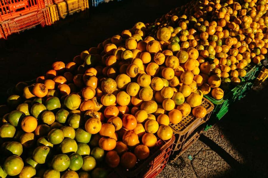 Cebu: Street Food Tour with Local Guide - Key points to know before booking