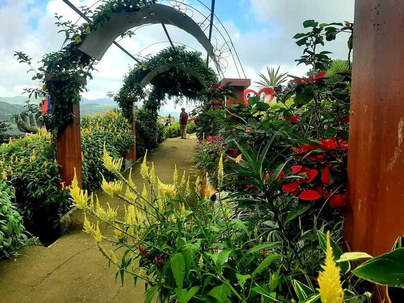 Cebu: Twin City Experience City Heritage & Mountain Escapes - Taoist Temple and Cebu’s hillside views