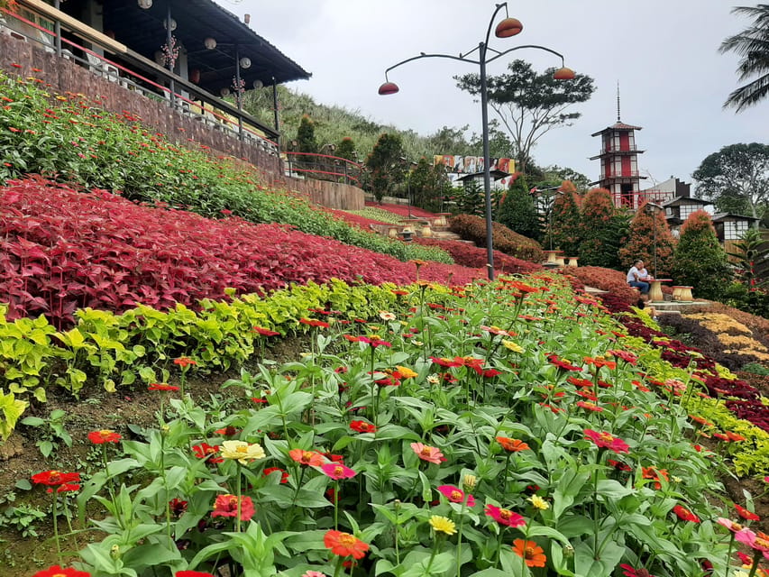 Cebu: Twin City Experience City Heritage & Mountain Escapes - Lunch and a needed pause in Cebu City