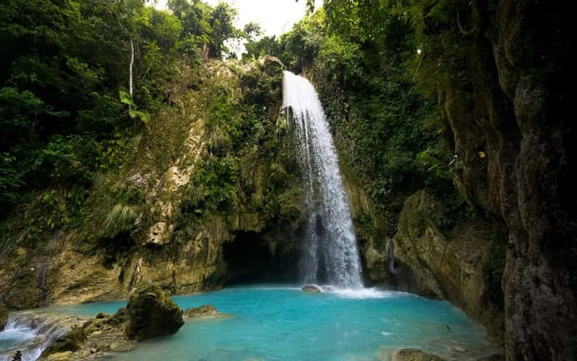 Cebu: Whale Shark, and Sumilon Sandbar and Inambakan Falls - Key points at a glance