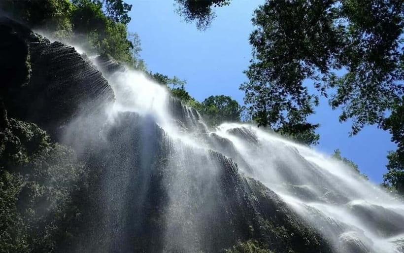 Cebu: Whale Shark, and Sumilon Sandbar and Inambakan Falls - Oslob whale shark snorkeling for 30 minutes