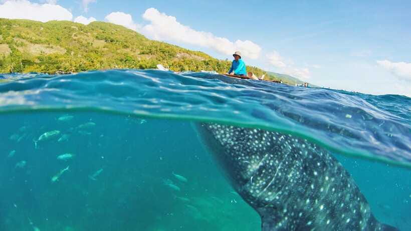 Cebu: Whale Shark Encounter and Kawasan Canyoneering - A local lunch after the hard work