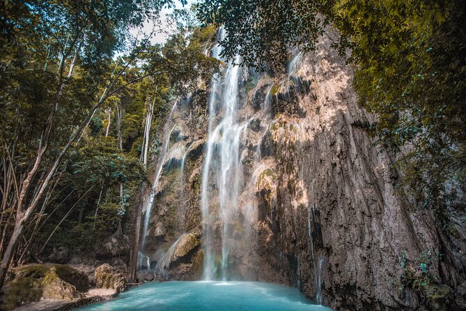Cebu Whale Shark Encounter, Moalboal Sardines & Tumalog Falls - The 4 a.m. pickup and long ride south