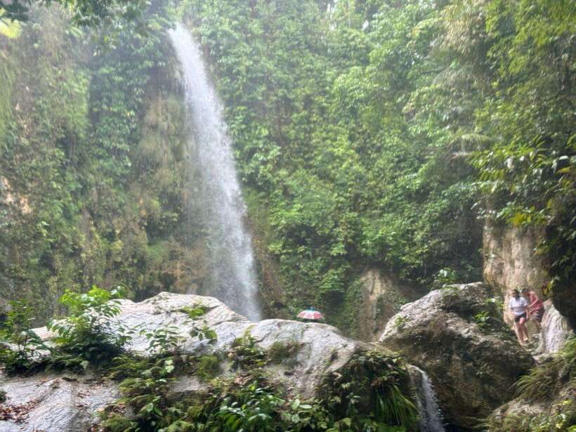 Cebu: Whale Shark, Inambakan Falls & Moalboal Sardine Tour - Breakfast on the road