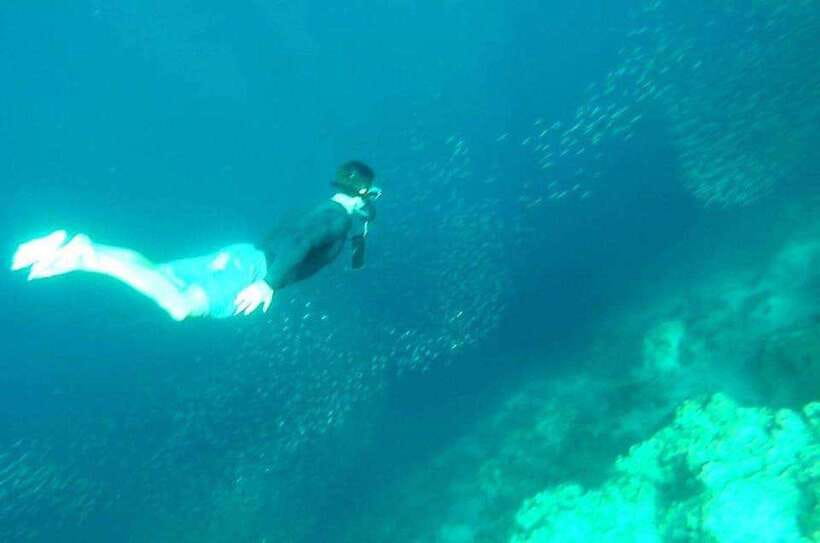Cebu: Whale Shark, Inambakan Falls & Moalboal Sardine Tour - Inambakan Falls and its turquoise pool