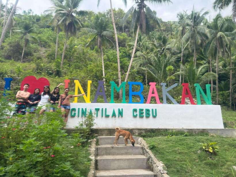Cebu: Whale Shark, Inambakan Falls & Moalboal Sardine Tour - Swimming with whale sharks in Oslob