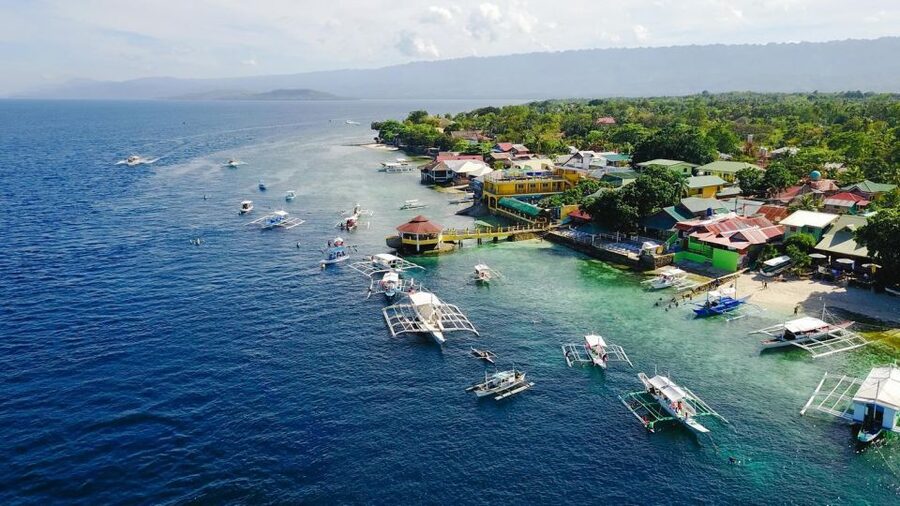 Cebu: Whale Shark, Monkey Sanctuary, & Moalboal Snorkel Tour - Practical advice before you go
