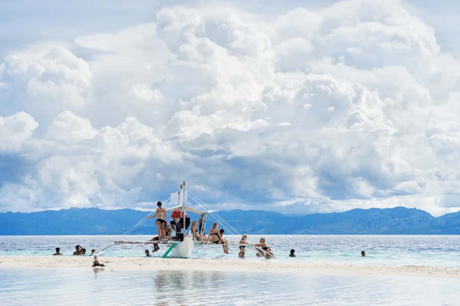 Cebu: Whale Shark, Monkey Sanctuary, & Moalboal Snorkel Tour - Transport, guide quality, and group size