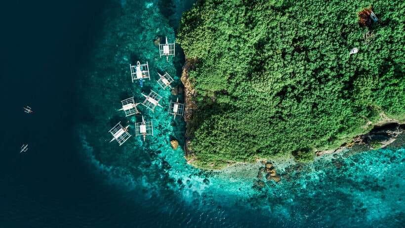 Cebu: Whale Shark, Monkey Sanctuary, & Moalboal Turtles Tour - The long transfer to Moalboal