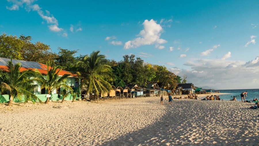 Cebu: Whale Shark, Monkey Sanctuary, & Moalboal Turtles Tour - What the day feels like for families and mixed abilities