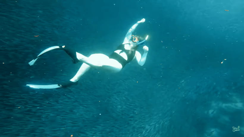 Cebu: Whale Shark Oslob and Moalboal Snorkeling Adventure - Guides, drivers, and the private-car advantage