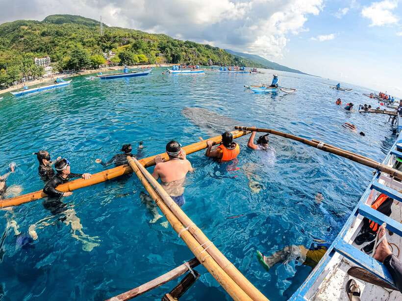 Cebu: Whale Shark Snorkeling & Kawasan Canyoning Tour - The guides shape the day