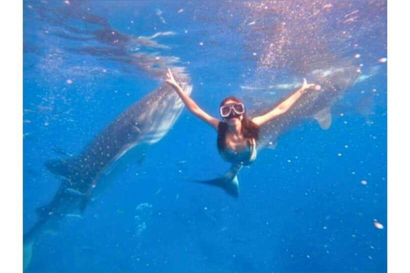 Cebu: Whale Shark Swim and Kawasan Canyoneering Group Tour - Finishing at Kawasan Falls
