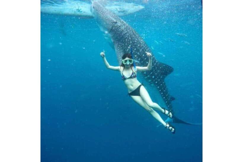 Cebu: Whale Shark Swim and Kawasan Canyoneering Group Tour - Is $106 good value?