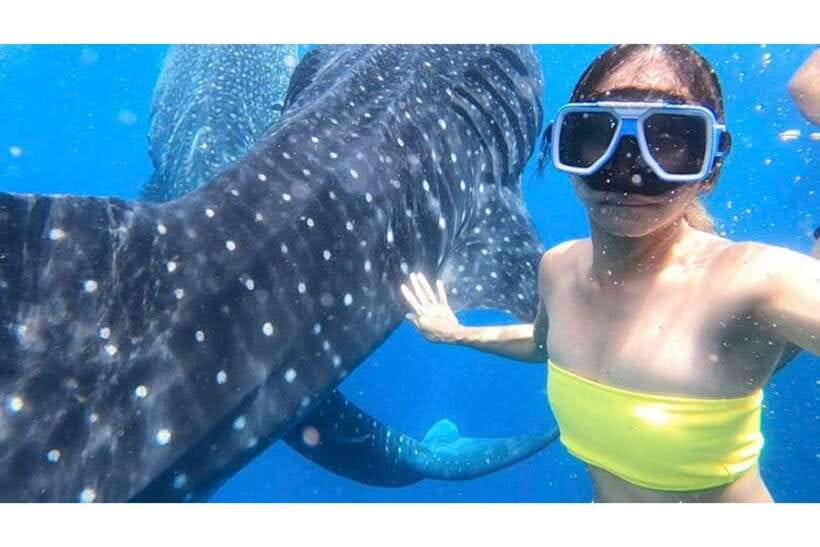 Cebu: Whale Shark Swim and Kawasan Canyoneering Group Tour - The early trip to Oslob