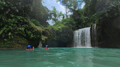 Whale Shark Swim and Kawasan Canyoneering Tour